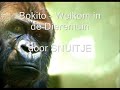 Bokito - Welkom in de Dierentuin Bokito - Welkom in de Dierentuin