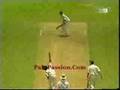 Pakistani Fast Bowlers Montage V 1.0