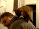 Monkey on my back