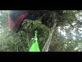 Tree Session