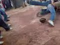 tigr vs chicote