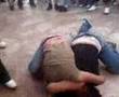 tigr vs chicote
