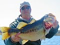 Lunker Bass