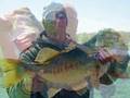 Lunker Bass