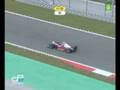 Bruno Senna kills Dog F1