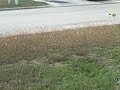 Video 21