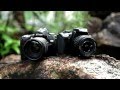 Краш-тест Canon 550d vs Nikon D90, 2 часть