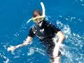 schnorcheln am great barrier reef