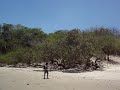 Nicaragua Real Estate -- Beachfront Lots at Manzanillo South Nicaragua Real Estate -- Beachfront Lots at Manzanillo South