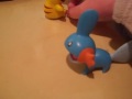 what could you do with a mudkip