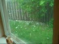 VERY Large Hail Storm VERY Large Hail Storm