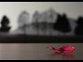 Fabrizio De Andrè - Hotel Supramonte