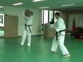 Master COUET Raphael demo