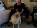 videos de Hambone After A Bath