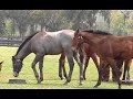 HRTV presents Inside Information - Victor Espinoza