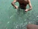 Piscinas naturais nos corais cheio de peixes...vale a pena conferir. 