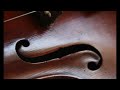 Taksim Viola 2 by Mevlan Osmani