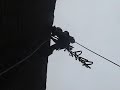 Climbing Brasil Artificial
