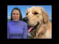 Animal Cruelty, Pet Abuse, Nutrition by Natalie