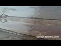Salinas del Odiel