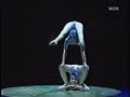 Alegria Contoriton