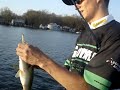 Jackall Lures Smash Minnow Jackall Lures Smash Minnow