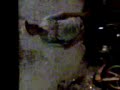 vandinho dan�ando