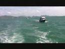 The fishing boat trip