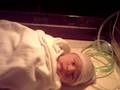 admir &sebastian aljic