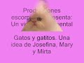 gatos y gatitos