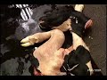 http://www.veteriner.tv