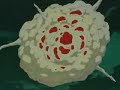 naruto shippuuden amv ~gaara dies~