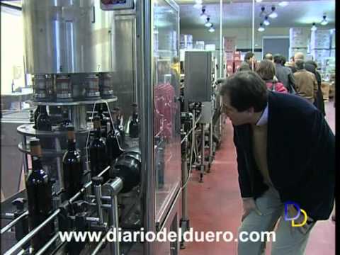Imagen de previsualización de YouTube