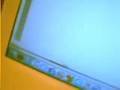 Going to buy iWork/Microsoft Office WATCH THIS VID NOW.