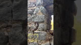 قرية غوير ابو شوشا, طاحونة القبو, وادي عامود السفلي, شتاء 2022, تصوير ابن الغجر, المبدع محمود كهموز.