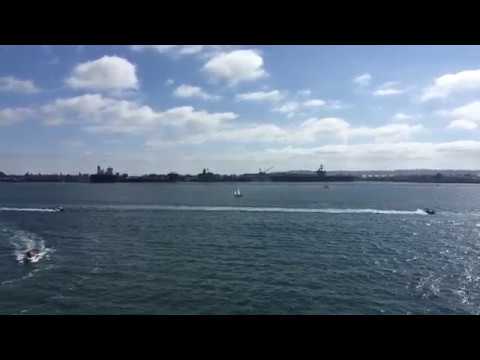 動画