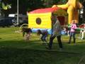 Brabantparkfestival 2008 | Deel 2 v/d 3