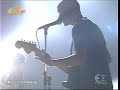 Mock Orange - Driving Day Mock Orange - Driving Day