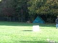 Obedience Klasse 2, Abrufen mit Steh Obedience Klasse 2, Abrufen mit Steh