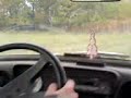chaos trabant chaos trabant