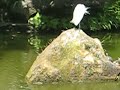 228紀念公園 湖邊