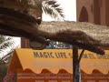 Jambo sharm el sheikh - Magic Life resort Jambo sharm el sheikh - Magic Life resort