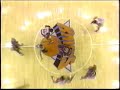 NY Knicks - Good Vibrations