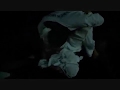 2008-10-19 | taekwondo hwa rang combates ~> no se vive para entrenar sino se entrena para vivir. un pequeo pero dificil lema de llevar en practica. en este video ... ()