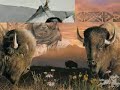 indianer spirit_3 indianer spirit_3