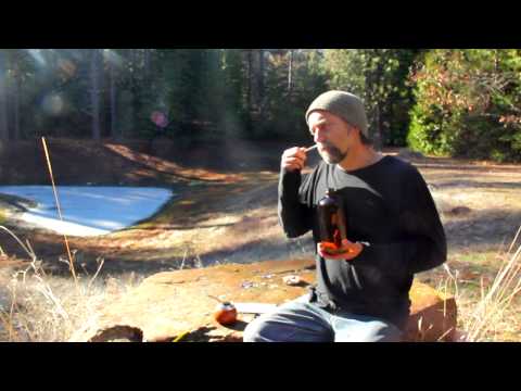 how to harvest juniper