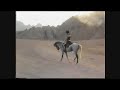 Egypt Horsey Riding !!