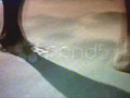 sonnet 60 project.wmv