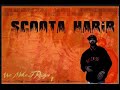 scoota-schwanensee