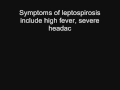 title="leptospirosis"